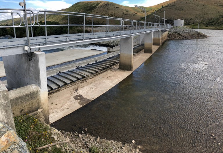 IMG_0426 (1500x1032)